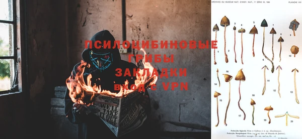 кокс Новодвинск