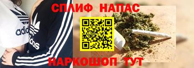 индика Абакан