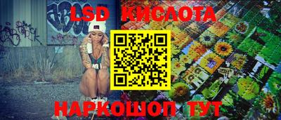 стаф Гай