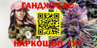 стаф Гай