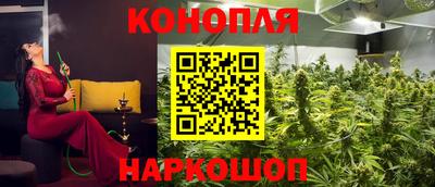 ешки Гатчина