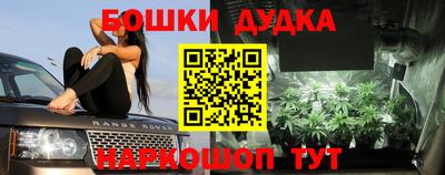 стаф Гай