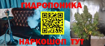 индика Абакан