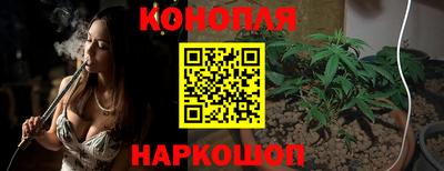 индика Абакан