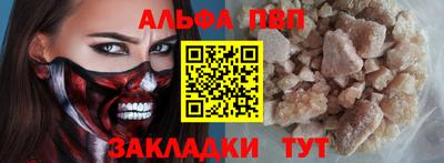 стаф Гай