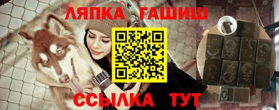 гидра Гагарин