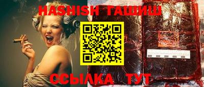 стаф Гай