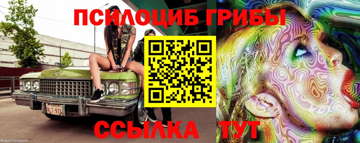 Галлюциногенные грибы мицелий Александров