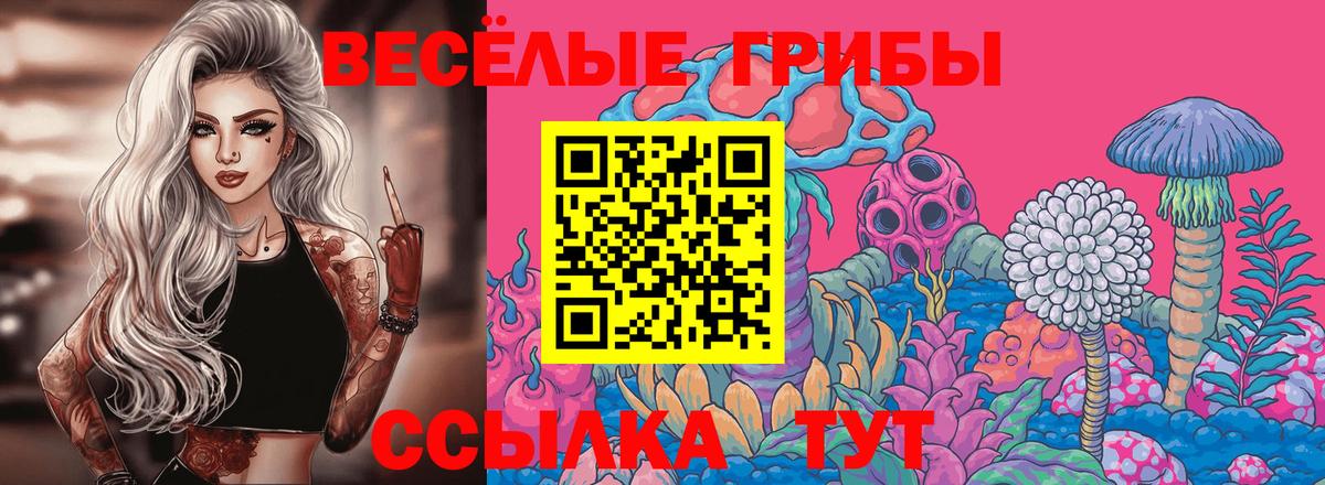 Александров  Галлюциногенные грибы Psilocybe  Вход с VPN 