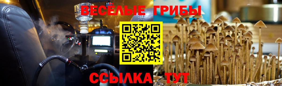 Галлюциногенные грибы Cubensis Александров